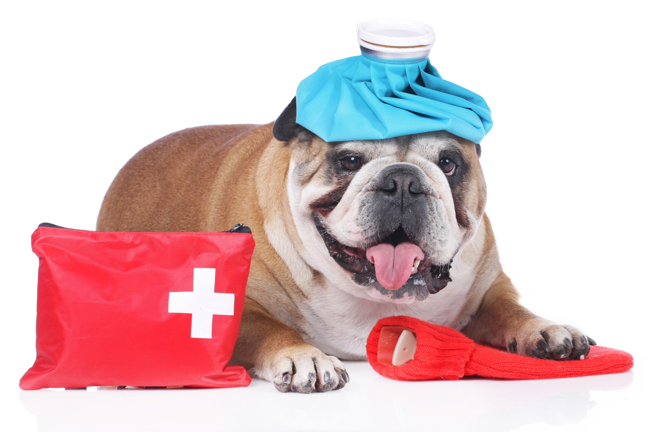 iStock photo ID: 476949048