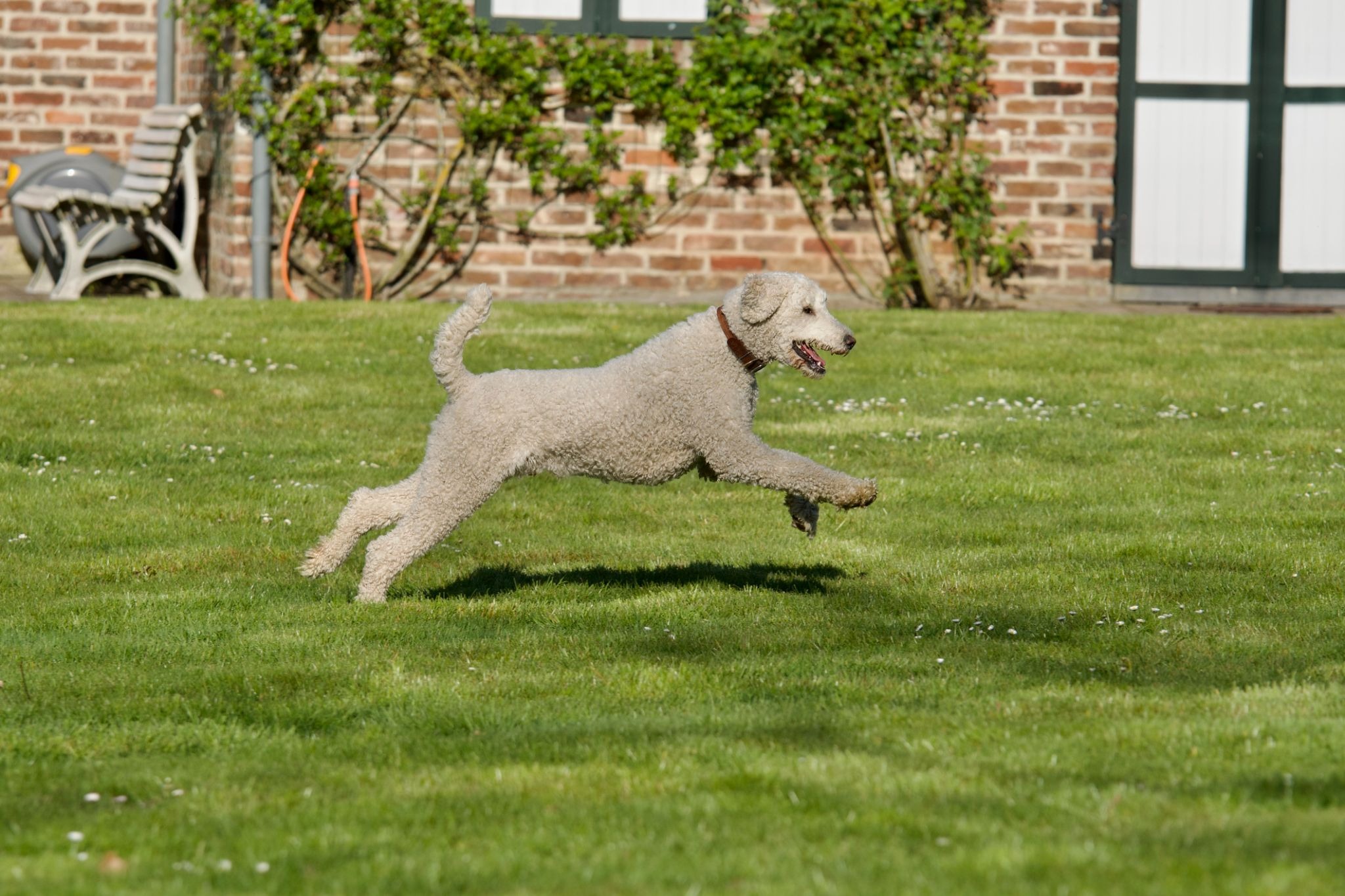 iStock photo ID:1394632521