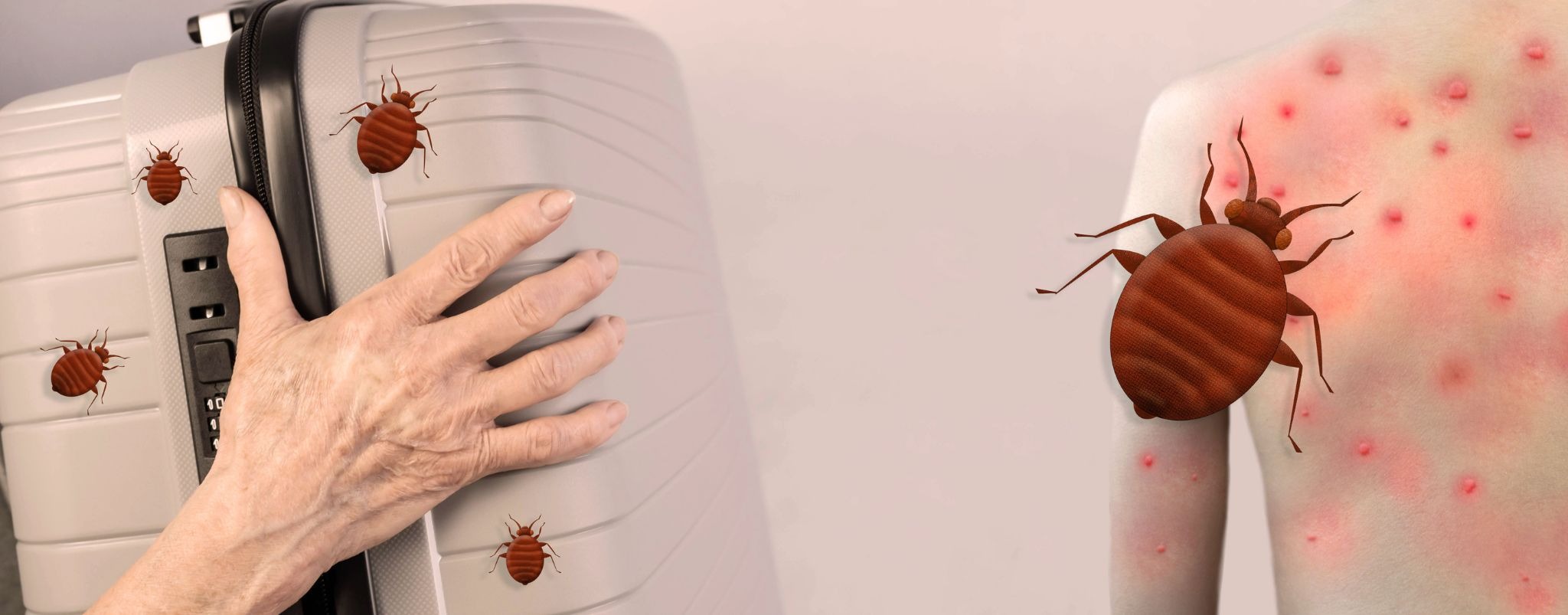 iStock photo ID:1753941873