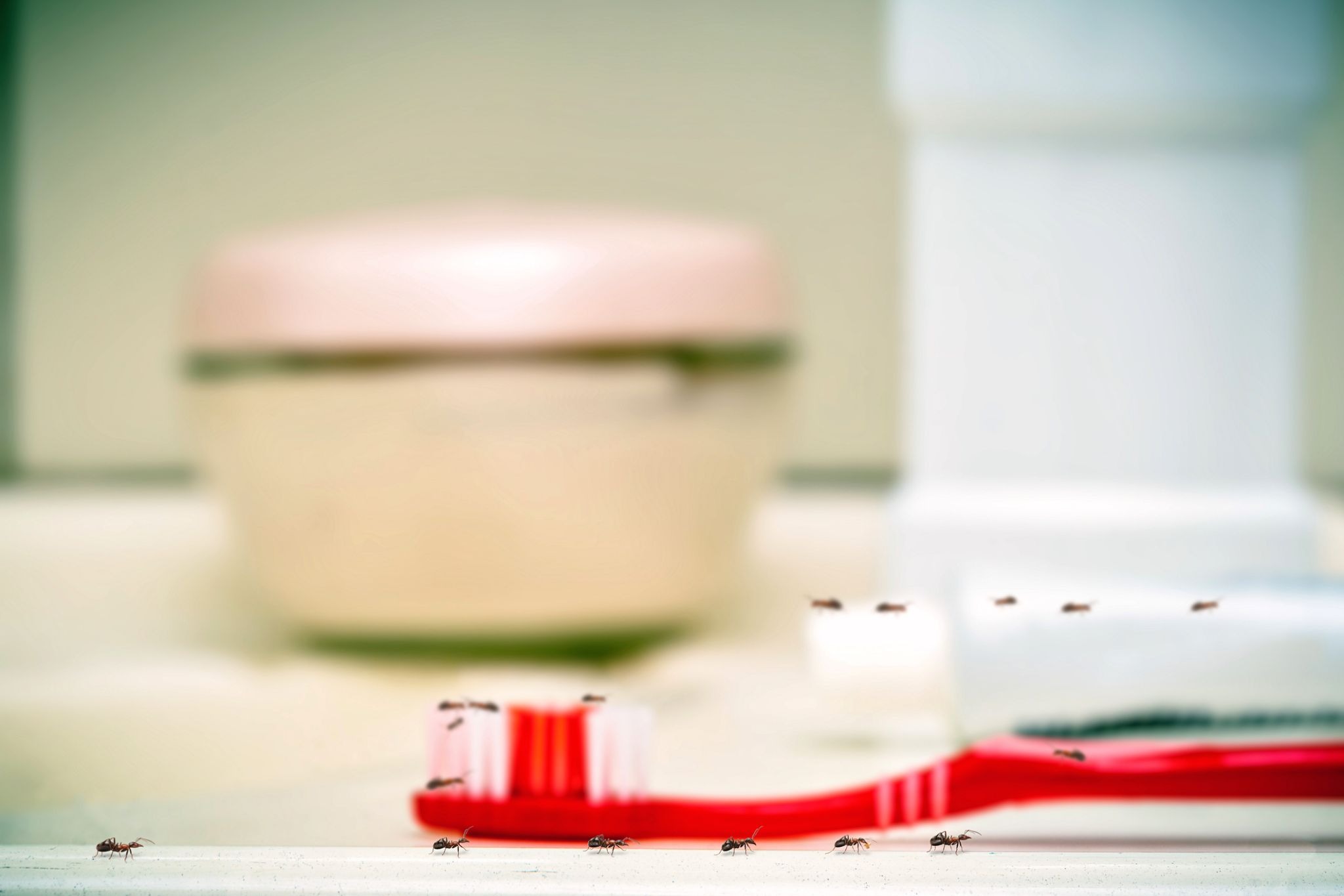 iStock photo ID: 1276100762