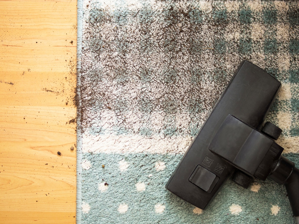 iStock photo ID: 1391654965