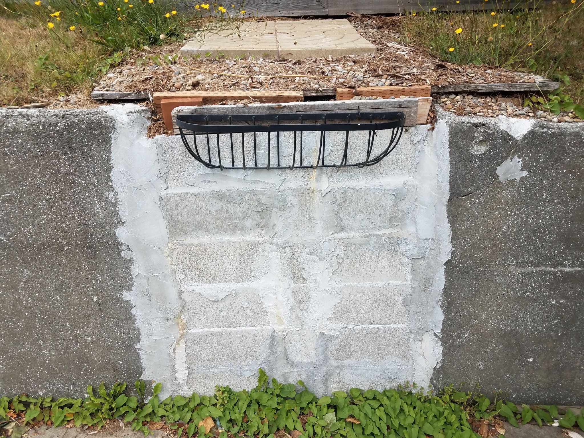 iStock photo ID: 1171747859