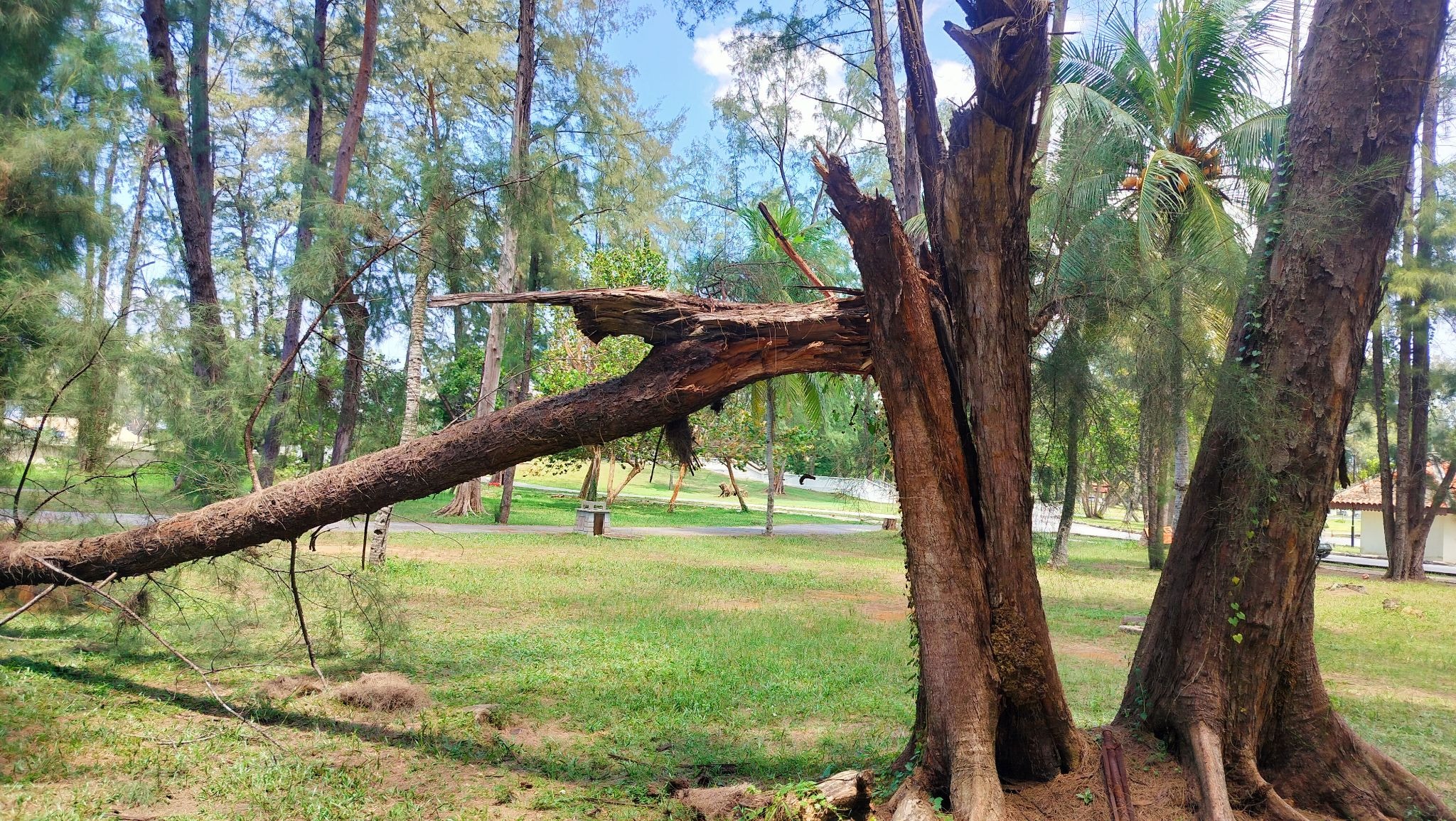 iStock photo ID: 2228730905