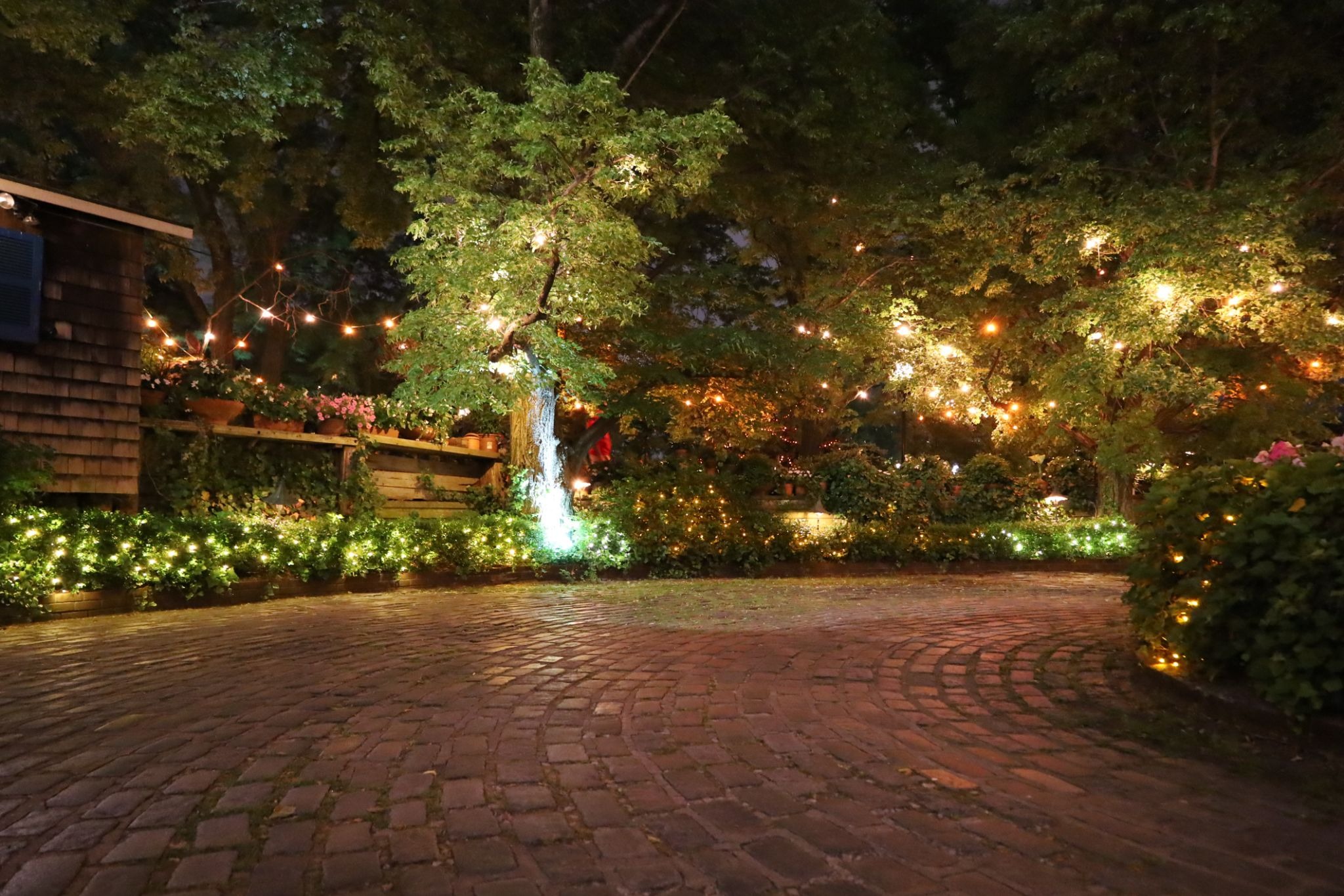 iStock photo ID: 2155103821