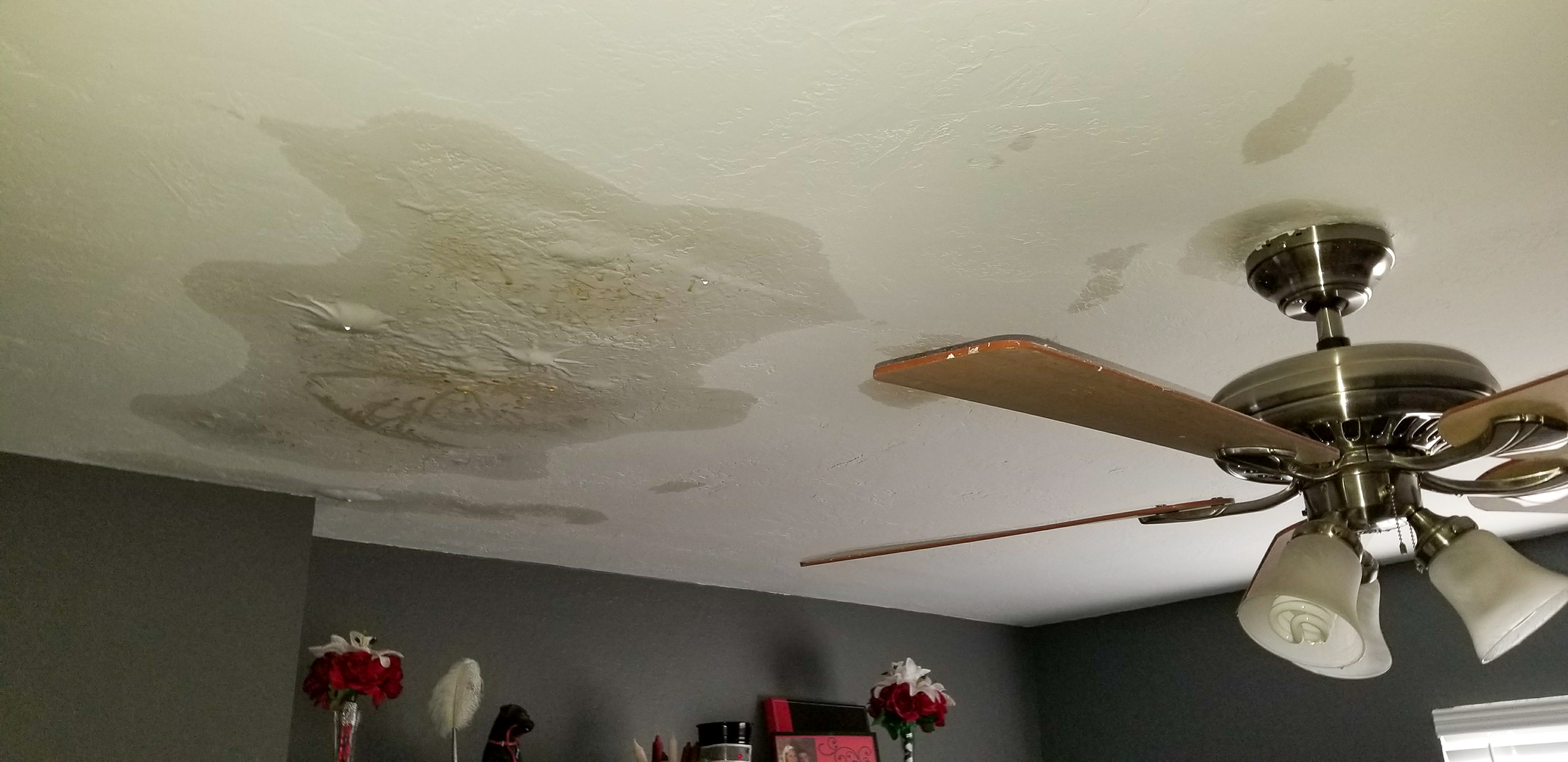 water stains on ceilings are a good indicator of roof problems