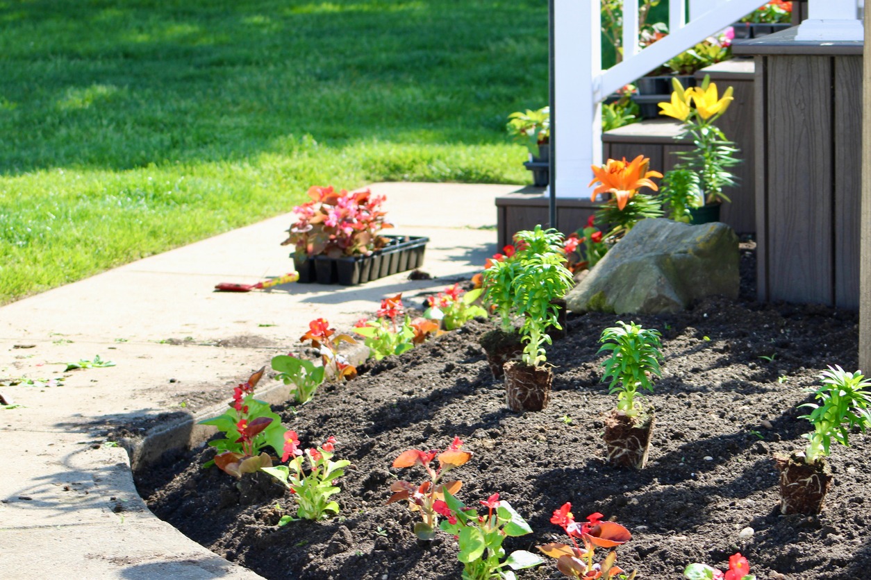 iStock photo ID: 2247163823