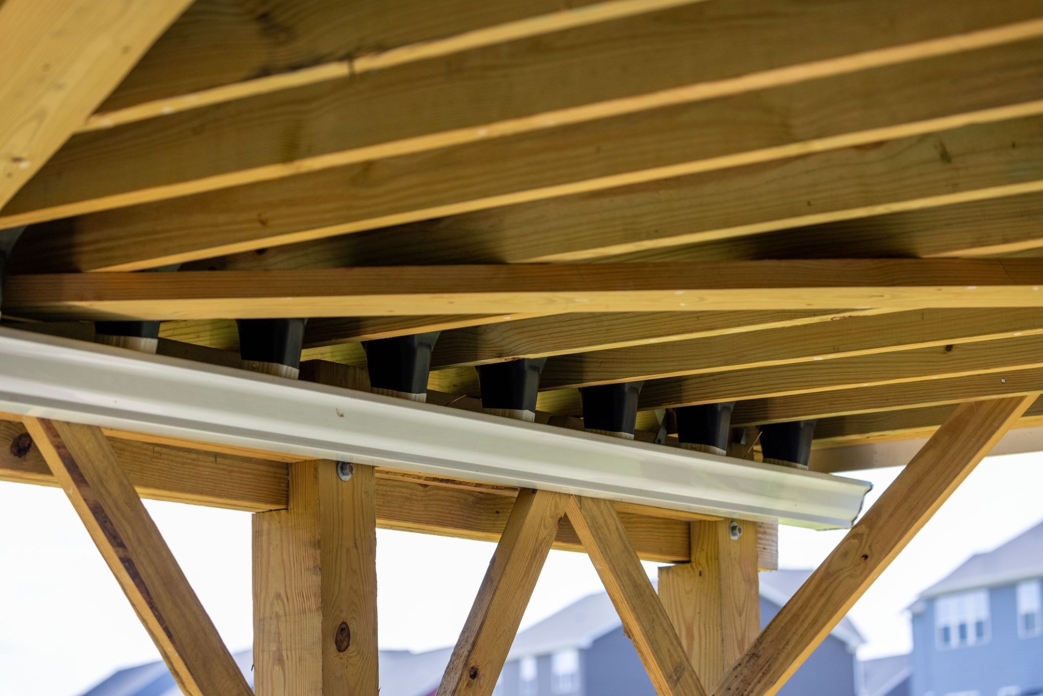 iStock photo ID: 875426450